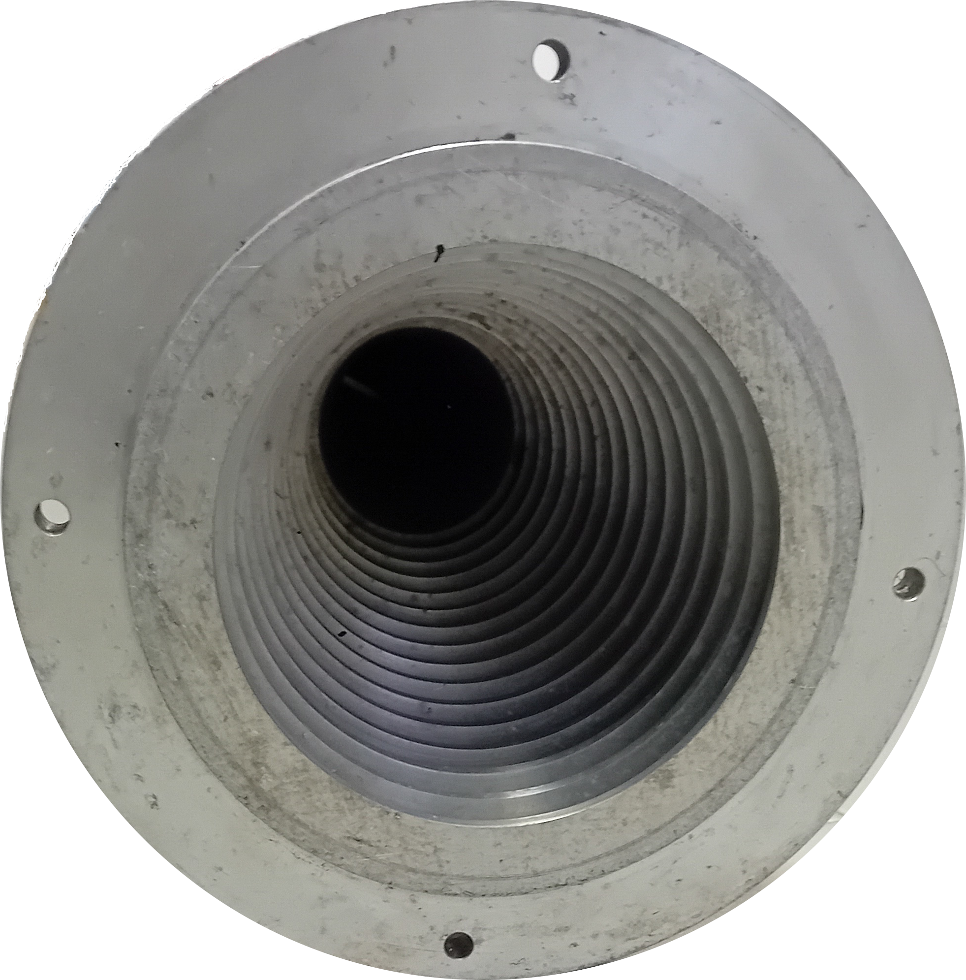 Horn